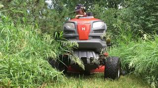 Mowing Tall Wet Grass [upl. by Yram197]