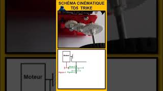 SCHÉMA CINÉMATIQUE TD5 SHORT Trike [upl. by Alrahs]