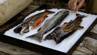 Lynne Rossetto Kasper interviews Francis Mallmann about cooking with fire [upl. by Munmro]