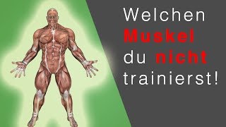 RUDERGERÄT TRAINING Dieser Muskel wird NICHT trainiert… OMG [upl. by Alissa]