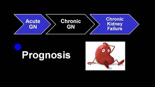 CHRONIC GLOMERULONEPHRITIS [upl. by Nallaf761]