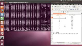 Ubuntu 1204 Forensics  ASCII to Hexadecimal Conversion [upl. by Kayley375]