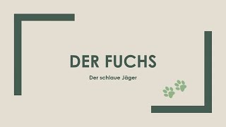 Der Fuchs einfach und kurz erklärt [upl. by Junieta]