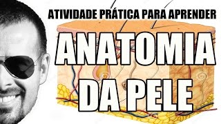 Anatomia da Pele Atividade prática para aprender Dermatologia  Anatomia Humana  VideoAula 037 [upl. by Carolyn]