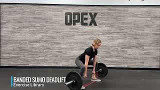 Banded Sumo Deadlift [upl. by Yraeg]