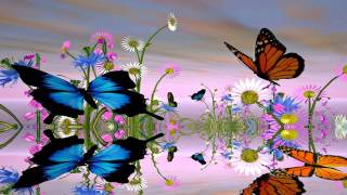 Fantastic Butterfly Screensaver httpwwwscreensavergiftcom [upl. by Asinla]