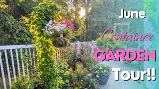 Container Garden Tour in June PLUS Propagation Tips amp How To Tree Form a Limelight Hydrangea [upl. by Nnyloj710]