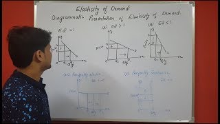 Price elasticity of demand chapter 6 microeconomics Part 2 Theory portion [upl. by Layol]