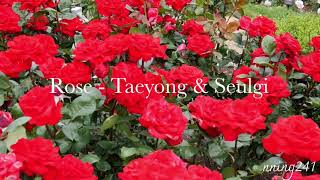 Rose  Taeyong amp Seulgi opvtaeten thaisub [upl. by Caril714]