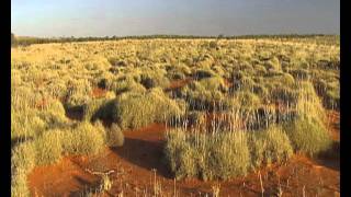 Different Environments  Part 2 Tundra Polar Regions Grasslands Wetlands Deserts [upl. by Liba736]