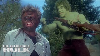 Hulk Evolution in Movies w Facts 19772022 [upl. by Namialus]