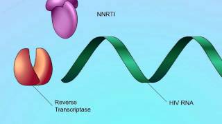 Mechanisms of Action of NonNucleoside Reverse Transcriptase Inhibitors NNRTIs [upl. by Ivana]