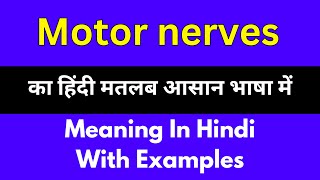 Motor nerves meaning in HindiMotor nerves का अर्थ या मतलब क्या होता है [upl. by Harve984]