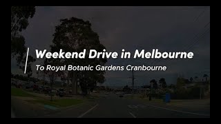 Royal Botanic Gardens Cranbourne Melbourne Australia The Dash Cam Journey [upl. by Yeargain239]