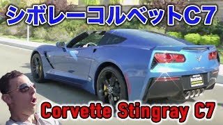 まさかの・・・！衝撃の出来事！爆音シボレー コルベット C7 スティングレイ 試乗インプレッション 2014 Corvette Stingray C7 TestDrive [upl. by Burnett]