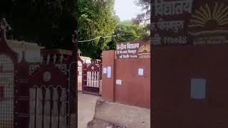 My School 🏫  📍 Kendriya Vidyalaya Pitampura ✨ shorts travelvlogs ytshorts [upl. by Artimas]