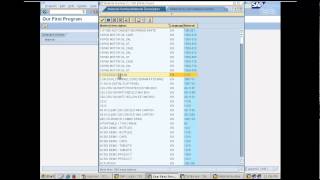 Creating our first report program in SAP  Day 4 [upl. by Adnilev]