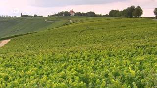 WineProducing Regions  Mosel Pfalz and Franconia  Discover Germany [upl. by Leahkim]