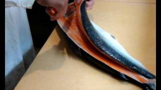 Lachs filetieren  How to filet salmon [upl. by Ankeny127]