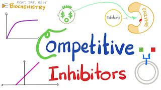 Competitive Inhibition Competitive Inhibitors  Enzyme Kinetics  Biochemistry [upl. by Arikehs]