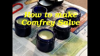 How to Make Herbal Comfrey Salve or Balm using Fresh Comfrey Leaves [upl. by Aterg]