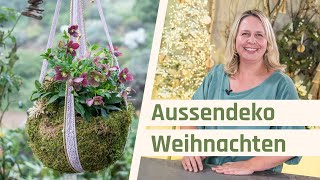 Weihnachtsdeko außen  Mooskugel Kokedama mit Christrosen [upl. by Natsuj454]