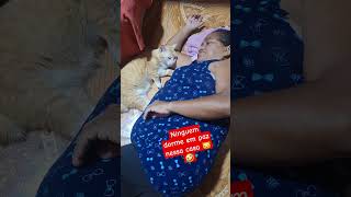 Ninguém dorme em paz nessa casa 🐱🐱🐱🤣🤣🤣 pets myanimals cat gatinhos adote [upl. by Ahsirek]