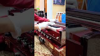 A full Geetanjali Harmonium demo amp virtual confirmation [upl. by Bezanson]