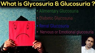 What is Glycosuria amp Glucosuria  Different Types of Glucosuria AlimentaryRenalDiabeticampNervous [upl. by Nniw989]