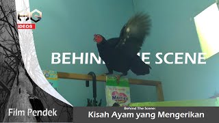 Behind The Scene Kisah Ayam yang Mengerikan [upl. by Porush92]