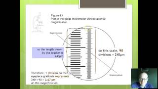 OCR Biology 3 Using graticules [upl. by Jacqueline]