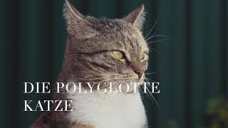 DIE POLYGLOTTE KATZE 🐈 Heinz Erhardt 19091979 [upl. by Naujad]