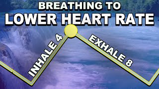 Deep Breathing to Slow Heart Rate inhale 4 exhale 8 [upl. by Mackey]