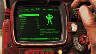 Fallout 4 Character Build Guide [upl. by Ronyam]