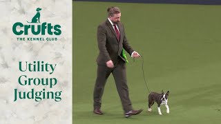 Utility Group Judging  Crufts 2024 [upl. by Knowland]