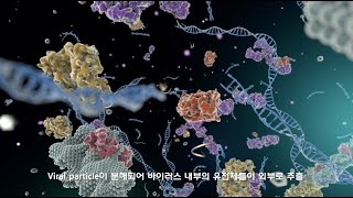 가천대학교 CRISPRCas시스템을 활용한 SFTSV 신속진단 기술 [upl. by Avir]