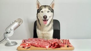 ASMR Husky Reviewing Raw Beef Meat Parts [upl. by Mir]