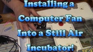 Installing A Fan In A Still Air Incubator For PENNIES [upl. by Kiefer]