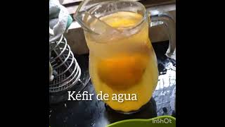 COMO HACER KÉFIR DE AGUA ‼️ probióticos natural 🌿 [upl. by Eityak915]