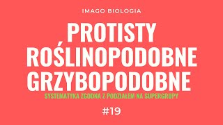 Protisty roślinopodobne i grzybopodobne wraz z ich systematyką [upl. by Croom821]