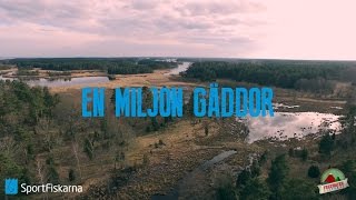 En miljon gäddor [upl. by Amsed]