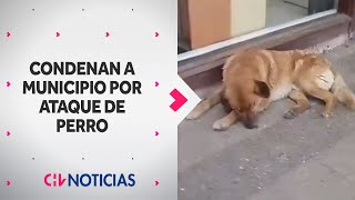 MILLONARIA INDEMNIZACIÓN por ataque de perro callejero a una niña en Villarrica [upl. by Nyllek993]