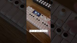 Using the OP1 field with the Torso T1 😄 op1field torsot1 [upl. by Enimrej]