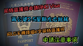 BNO 51 Visa快速批核成功！  申請BNO Visa 注意事項及筆記 [upl. by Ttegdirb]