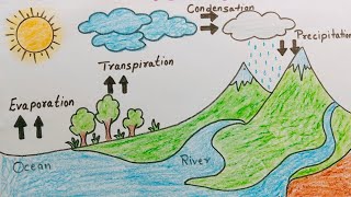 How to draw Water Cycle Drawing for School Project  Water Cycle Diagram  Water Cycle Drawing [upl. by Emlynn]