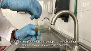 Técnica Coproparasitologico de concentración  MÉTODO DE RITCHIE [upl. by Llertal814]