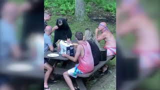 Oso negro convive con familia durante picnic [upl. by Belvia160]