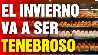 12 Alimentos que DEBES COMPRAR antes de Noviembre [upl. by Aineval662]