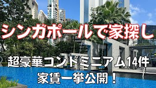 家賃50万円超え？？プールやジムなど豪華な設備があるシンガポールのコンドミニアム。今回は中心部にある14件をご紹介！家賃が高騰して家探しが大変な今、賃貸価格はいくらぐらいになってる？ [upl. by Yarahs818]