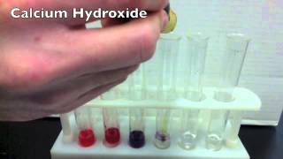 Acids amp Bases Activity using Universal Indicator Solution [upl. by Seale]